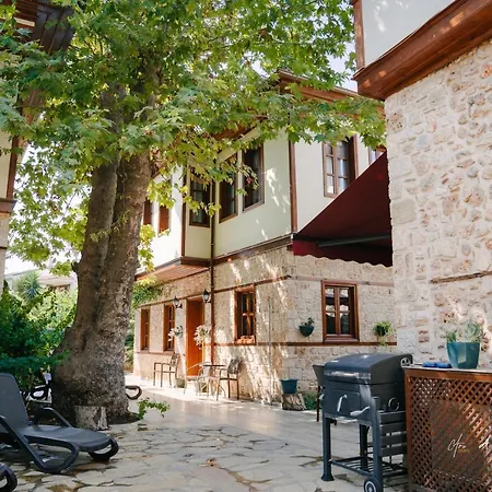 Ani Pansiyon Apart 3*